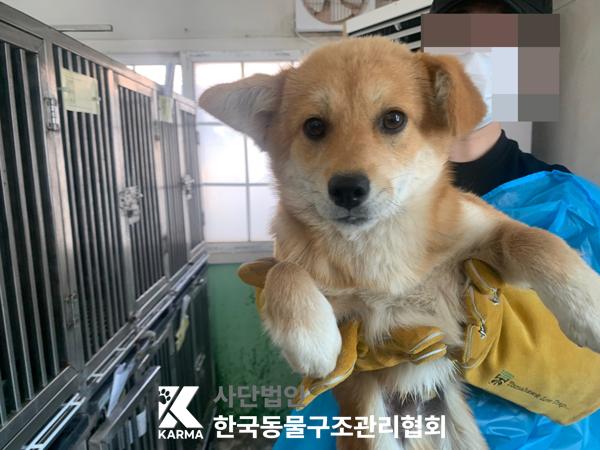 한국동물구조관리협회_441559202500256